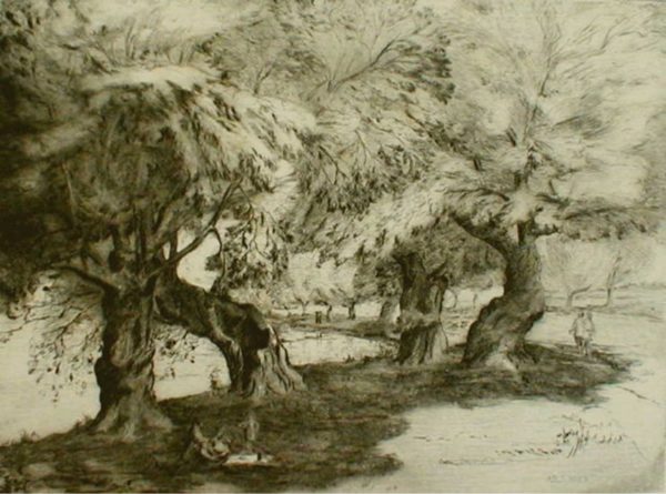 Alex F. Smith - 'Old Willow Trees Bedford'