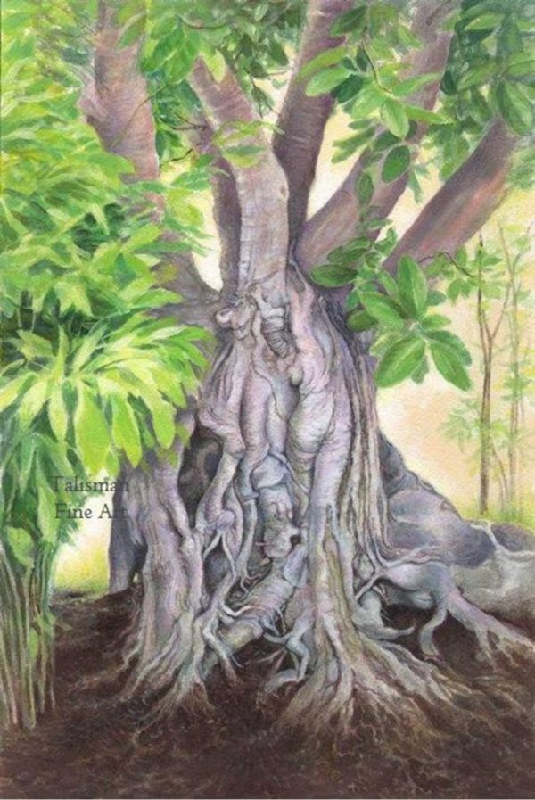 Lynn Paula Russell, 'Banyan'