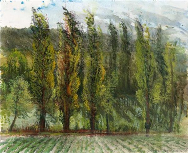 Michael Chaitow - 'Poplars'