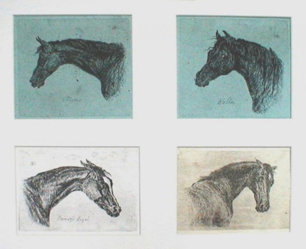 John Norgrave Baker - Etchings of the Heads of  Four Horses