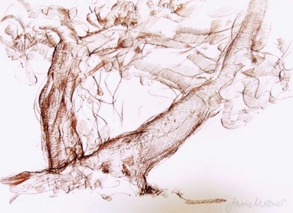 Jane Wisner - 'Trees in Communion'