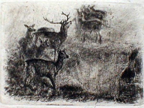 John Norgrave Baker - Red Deer