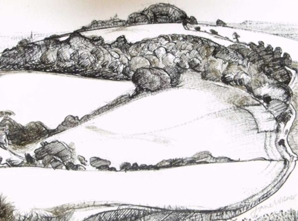 Jane Wisner - Cromlingley Vale and Stoke Clump