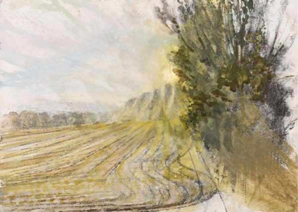Michael Chaitow - 'Open Field'