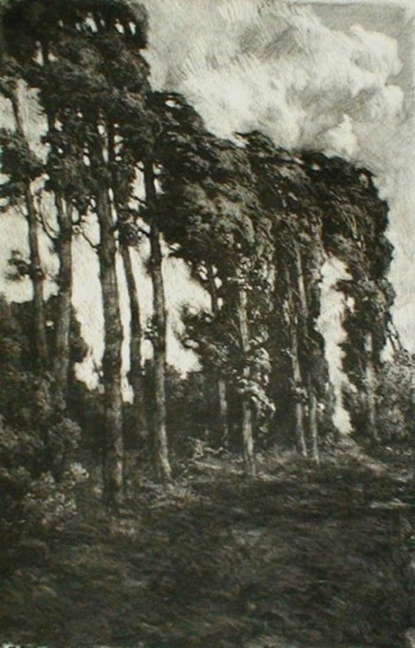 Fritz Voellmy - 'Windy landscape'